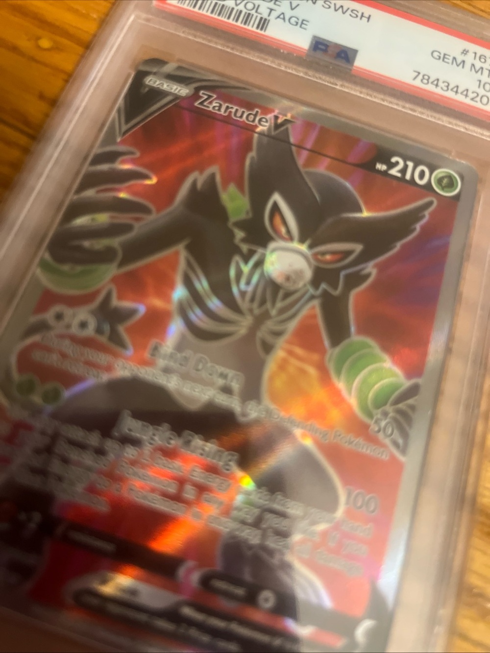 Pokemon TCG Zarude Vivid Voltage Full Art V PSA Gem Mint 10 - Picture 5 of 5